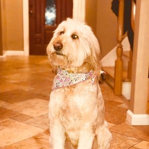 Meet your Posher, Jared